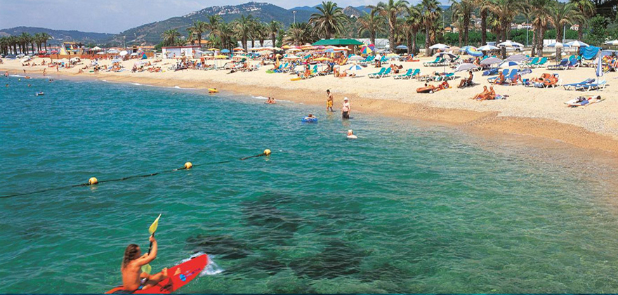 dorada