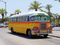 Bus-11 Отдых в Грузии от туроператора, Батуми Кобулети, автобус из Минска