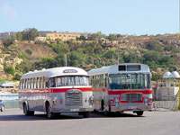 Bus67 Отдых в Грузии от туроператора, Батуми Кобулети, автобус из Минска